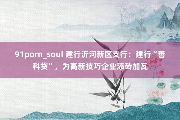 91porn_soul 建行沂河新区支行：建行“善科贷”，为高新技巧企业添砖加瓦