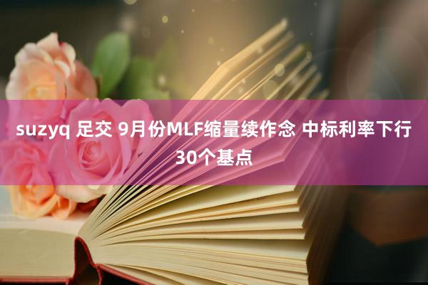 suzyq 足交 9月份MLF缩量续作念 中标利率下行30个基点