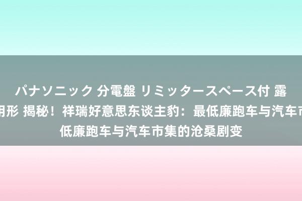 パナソニック 分電盤 リミッタースペース付 露出・半埋込両用形 揭秘！祥瑞好意思东谈主豹：最低廉跑车与汽车市集的沧桑剧变