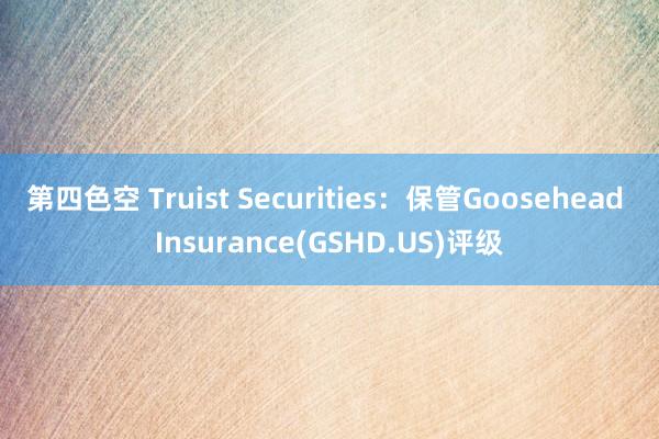 第四色空 Truist Securities：保管Goosehead Insurance(GSHD.US)评级