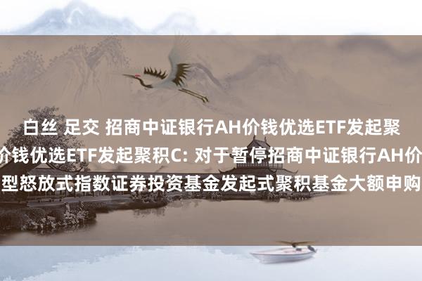 白丝 足交 招商中证银行AH价钱优选ETF发起聚积A，招商中证银行AH价钱优选ETF发起聚积C: 对于暂停招商中证银行AH价钱优选交游型怒放式指数证券投资基金发起式聚积基金大额申购(含依期定额投资)和相似转入业务的公告