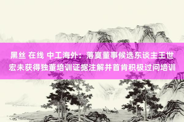 黑丝 在线 中工海外：落寞董事候选东谈主王世宏未获得独董培训证据注解并首肯积极过问培训