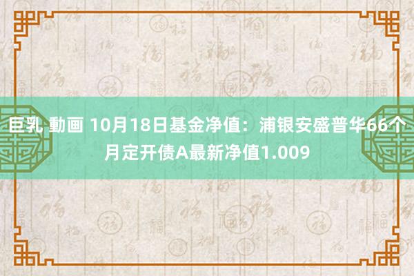 巨乳 動画 10月18日基金净值：浦银安盛普华66个月定开债A最新净值1.009