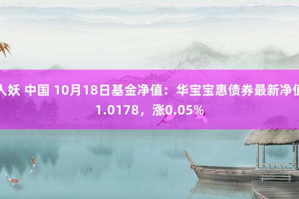 人妖 中国 10月18日基金净值：华宝宝惠债券最新净值1.0178，涨0.05%