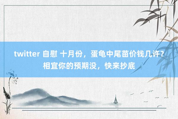 twitter 自慰 十月份，蛋龟中尾苗价钱几许？相宜你的预期没，快来抄底