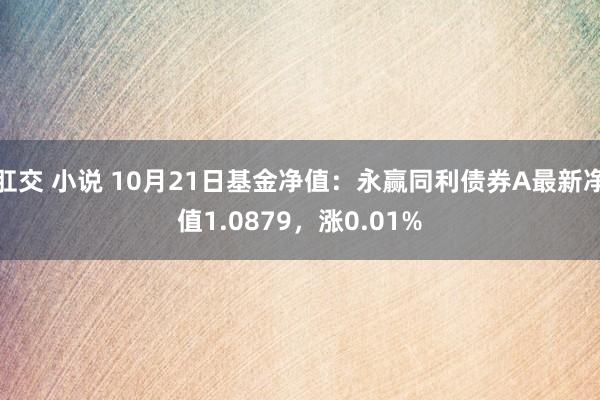 肛交 小说 10月21日基金净值：永赢同利债券A最新净值1.0879，涨0.01%