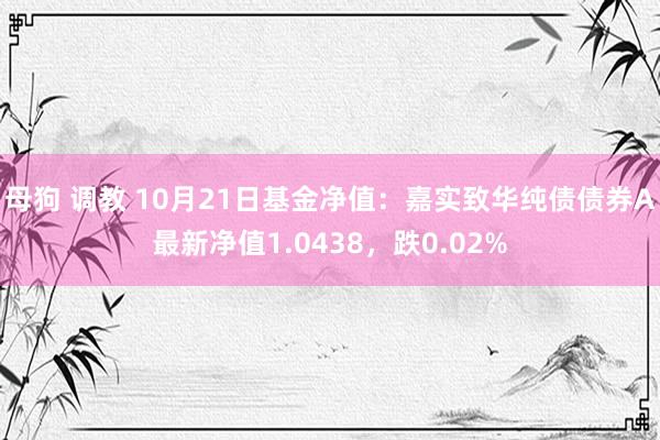 母狗 调教 10月21日基金净值：嘉实致华纯债债券A最新净值1.0438，跌0.02%