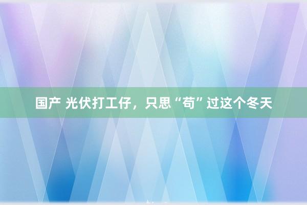 国产 光伏打工仔，只思“苟”过这个冬天