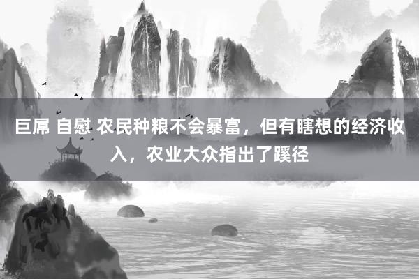 巨屌 自慰 农民种粮不会暴富，但有瞎想的经济收入，农业大众指出了蹊径