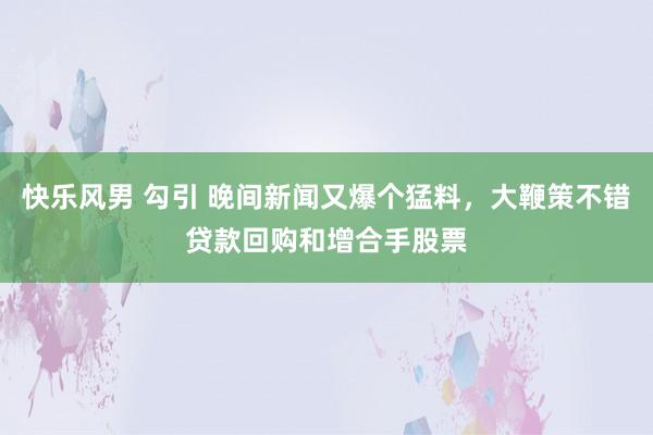 快乐风男 勾引 晚间新闻又爆个猛料，大鞭策不错贷款回购和增合手股票