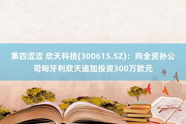 第四涩涩 欣天科技(300615.SZ)：向全资孙公司匈牙利欣天追加投资300万欧元