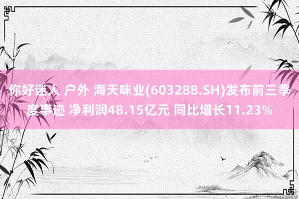 你好迷人 户外 海天味业(603288.SH)发布前三季度事迹 净利润48.15亿元 同比增长11.23%