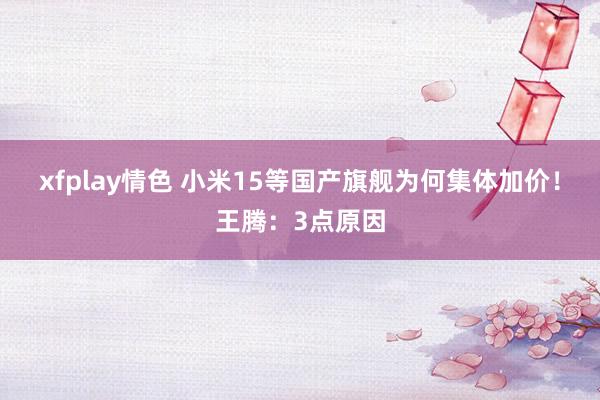 xfplay情色 小米15等国产旗舰为何集体加价！王腾：3点原因