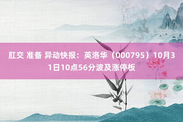 肛交 准备 异动快报：英洛华（000795）10月31日10点56分波及涨停板