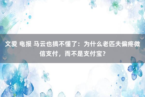 文爱 电报 马云也搞不懂了：为什么老匹夫偏疼微信支付，而不是支付宝？