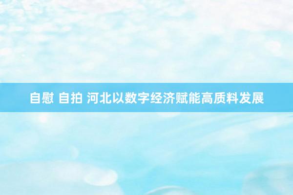 自慰 自拍 河北以数字经济赋能高质料发展