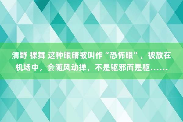 清野 裸舞 这种眼睛被叫作“恐怖眼”，被放在机场中，会随风动掸，不是驱邪而是驱……