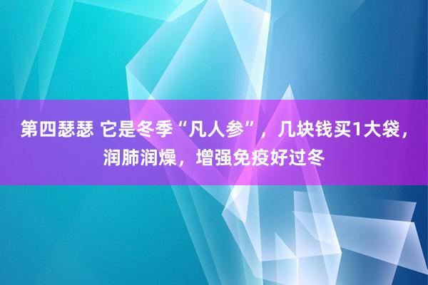 第四瑟瑟 它是冬季“凡人参”，几块钱买1大袋，润肺润燥，增强免疫好过冬