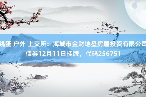 跳蛋 户外 上交所：海城市金财地盘房屋投资有限公司债券12月11日挂牌，代码256751