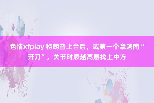 色情xfplay 特朗普上台后，或第一个拿越南“开刀”，关节时辰越高层找上中方