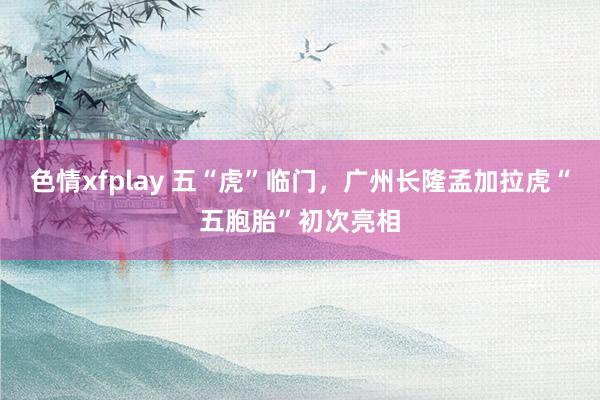 色情xfplay 五“虎”临门，广州长隆孟加拉虎“五胞胎”初次亮相