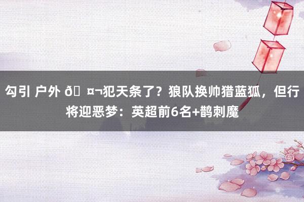 勾引 户外 🤬犯天条了？狼队换帅猎蓝狐，但行将迎恶梦：英超前6名+鹊刺魔