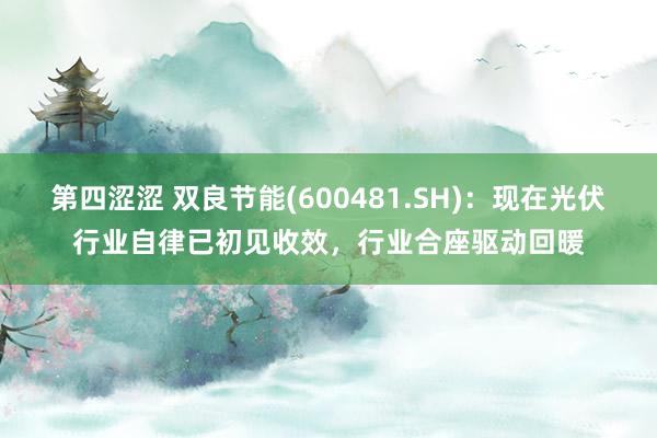 第四涩涩 双良节能(600481.SH)：现在光伏行业自律已