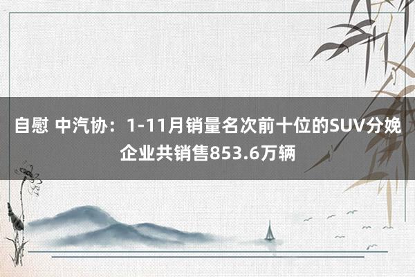 自慰 中汽协：1-11月销量名次前十位的SUV分娩企业共销售