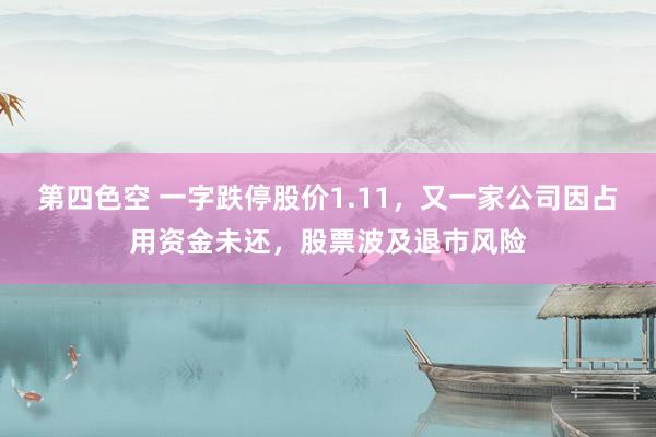 第四色空 一字跌停股价1.11，又一家公司因占用资金未还，股