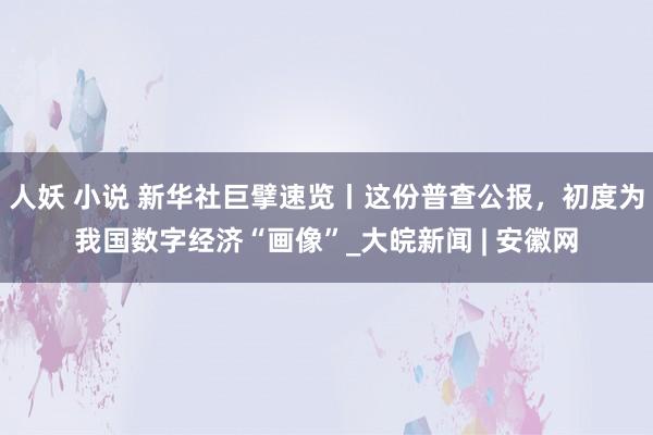 人妖 小说 新华社巨擘速览丨这份普查公报，初度为我国数字经济