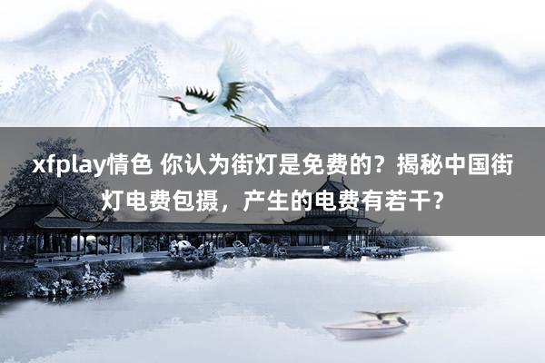 xfplay情色 你认为街灯是免费的？揭秘中国街灯电费包摄，