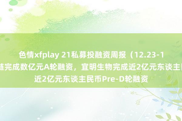 色情xfplay 21私募投融资周报（12.23-12.29）：十方星链完成数亿元A轮融资，宜明生物完成近2亿元东谈主民币Pre-D轮融资