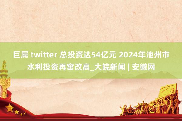 巨屌 twitter 总投资达54亿元 2024年池州市水利