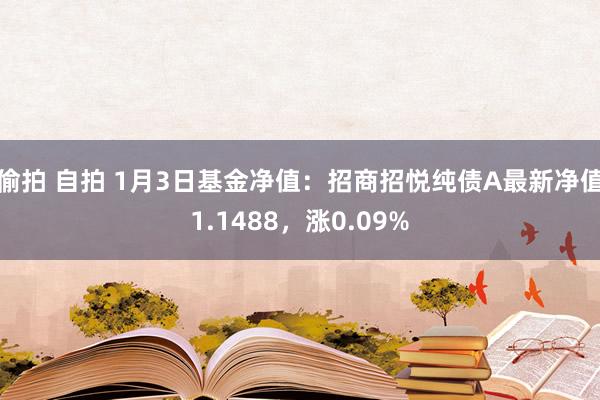 偷拍 自拍 1月3日基金净值：招商招悦纯债A最新净值1.14