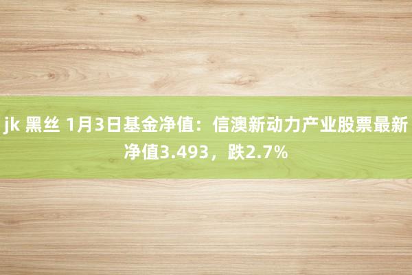 jk 黑丝 1月3日基金净值：信澳新动力产业股票最新净值3.