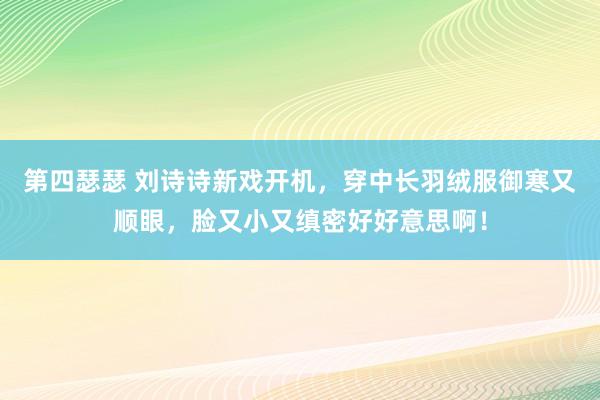 第四瑟瑟 刘诗诗新戏开机，穿中长羽绒服御寒又顺眼，脸又小又缜