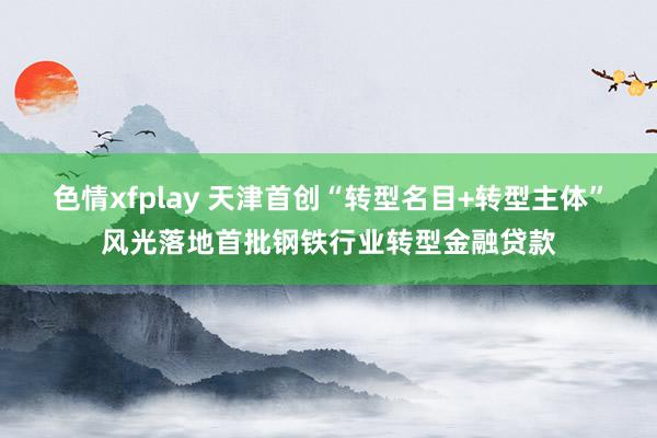 色情xfplay 天津首创“转型名目+转型主体”风光落地首批