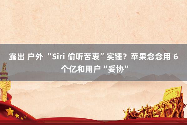 露出 户外 “Siri 偷听苦衷”实锤？苹果念念用 6 个亿