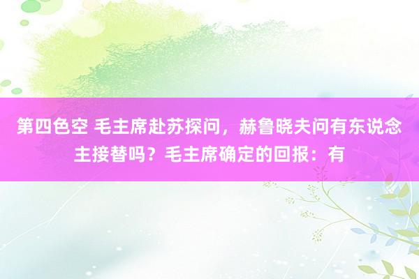 第四色空 毛主席赴苏探问，赫鲁晓夫问有东说念主接替吗？毛主席