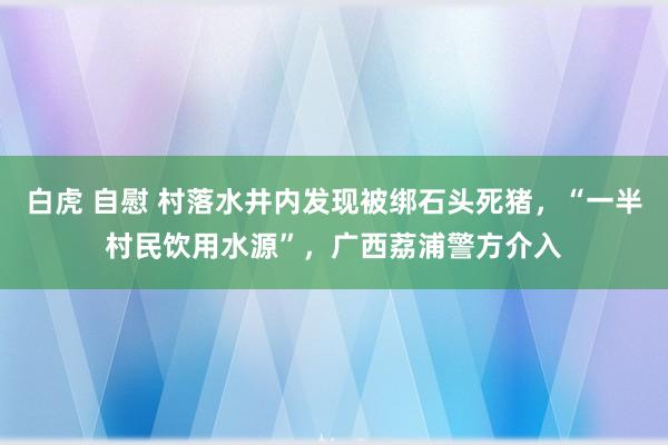 白虎 自慰 村落水井内发现被绑石头死猪，“一半村民饮用水源”