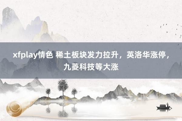 xfplay情色 稀土板块发力拉升，英洛华涨停，九菱科技等大