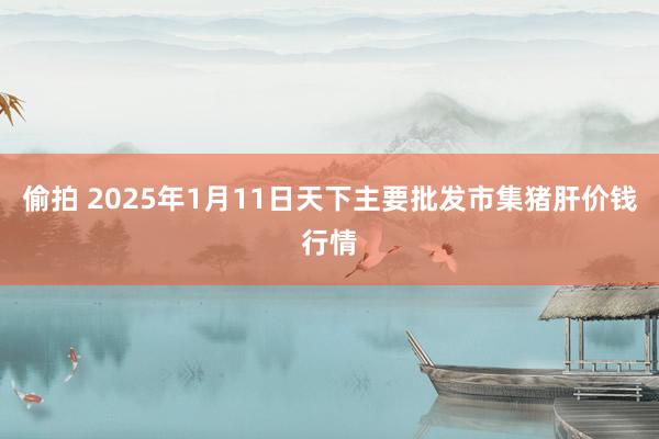 偷拍 2025年1月11日天下主要批发市集猪肝价钱行情