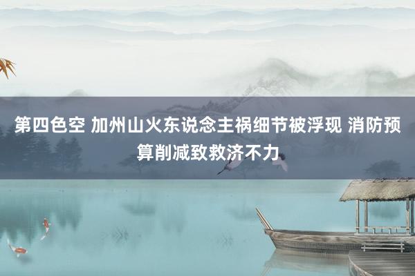 第四色空 加州山火东说念主祸细节被浮现 消防预算削减致救济不力