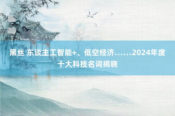 黑丝 东谈主工智能+、低空经济……2024年度十大科技名词揭晓